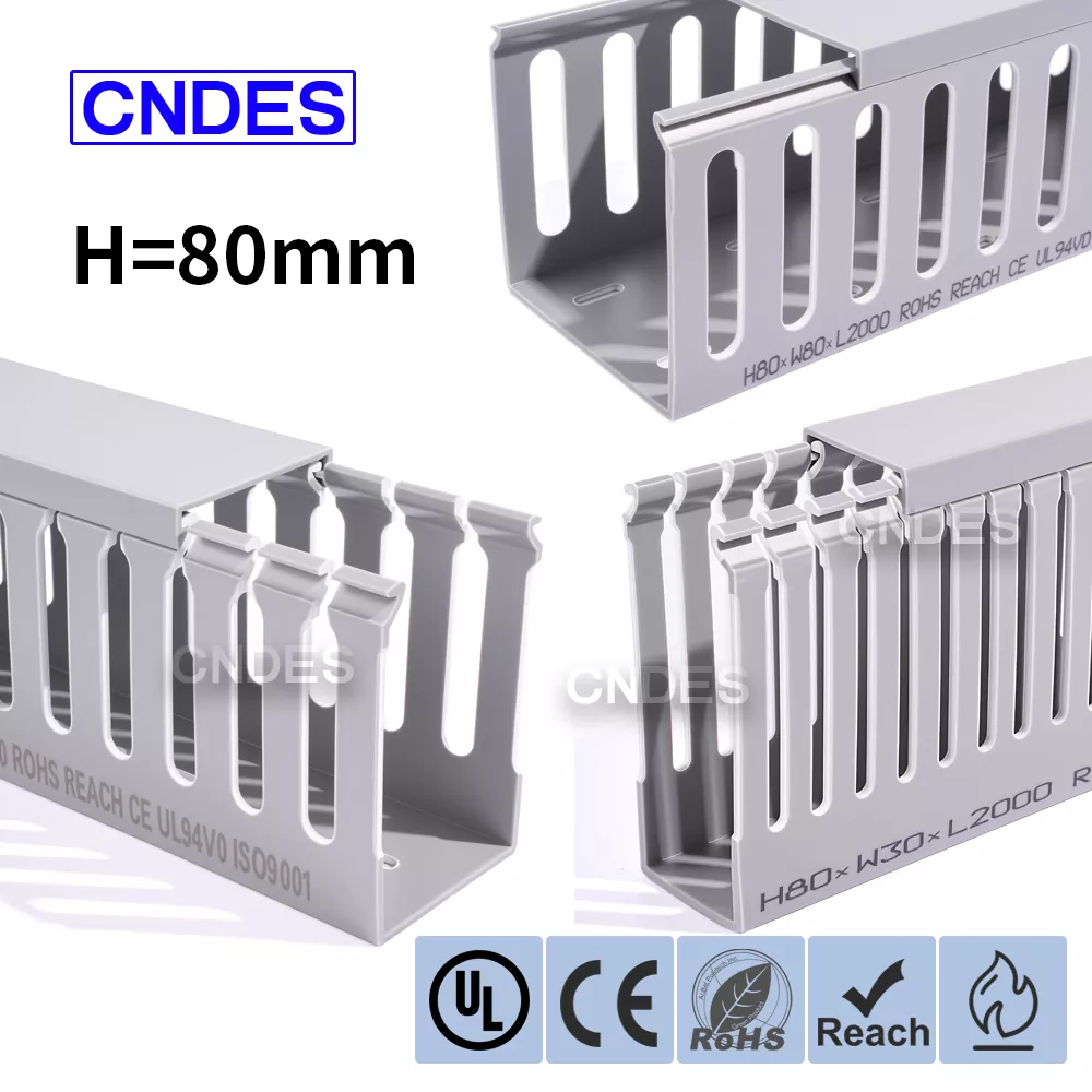 80 ఎత్తు స్లాట్డ్ PVC ఆటోమేషన్ కేబుల్ డక్ట్