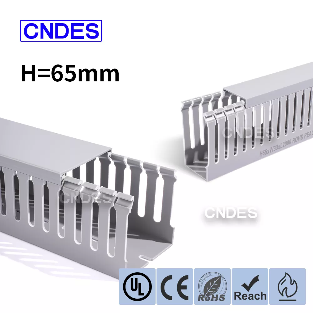 65mm ఎత్తు స్లాట్డ్ PVC ఇండస్ట్రియల్ వైరింగ్ డక్ట్